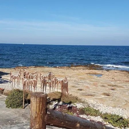 Apartment Mediterraneo Playa-serviden